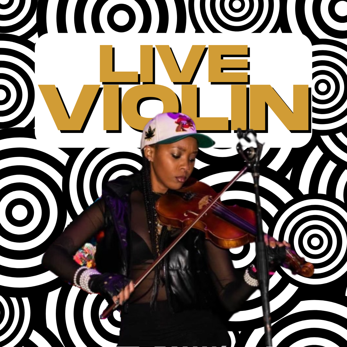 Violin Arrangement by Mani Strings