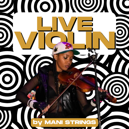 Violin Arrangement by Mani Strings